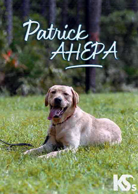Patrick AHEPA, AHEPA Service Dog